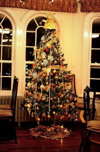 クリスマスツリー_えの木てい